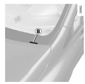 Renault Clio - Fahrzeugtypenschild 